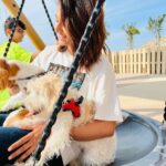 Erica Fernandes Instagram - Me and my Boys. #visitjabeljais #rasalkhaimah #ericafernandes #ginger #coco