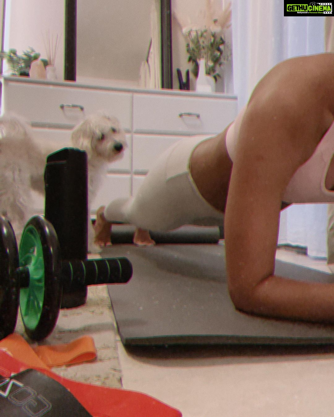 Erica Fernandes Instagram - I attempted a home workout, but my boys Ginger and KoKo decided to turn it into 'Pet Paw-lates' instead!