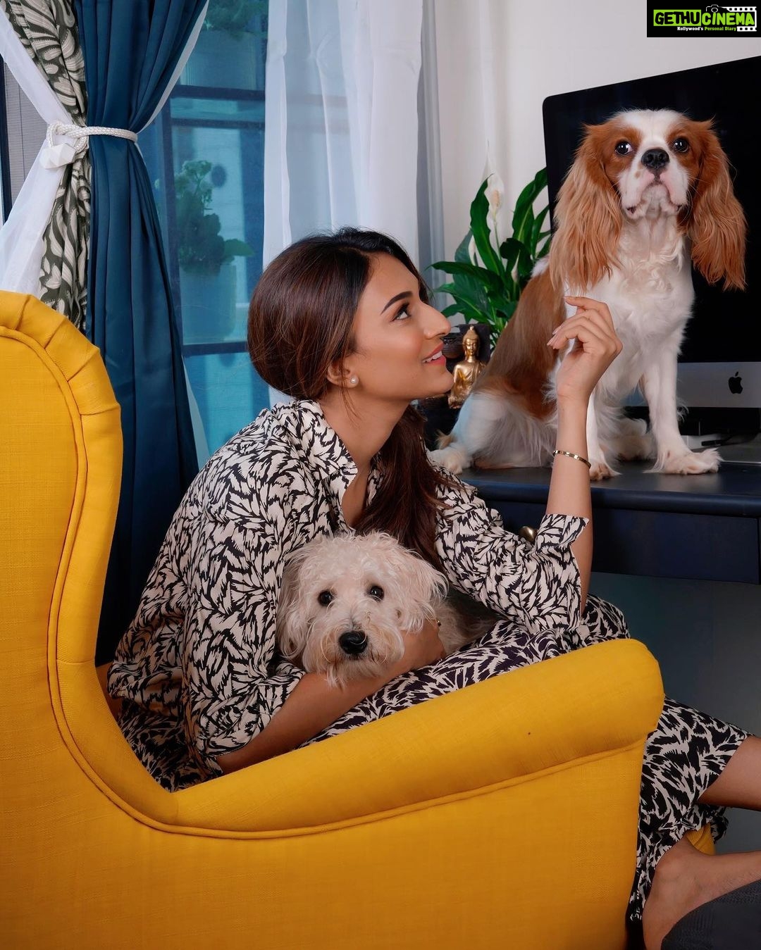 Erica Fernandes Instagram - Me and mine 🐾 Missing my big boy Champy.