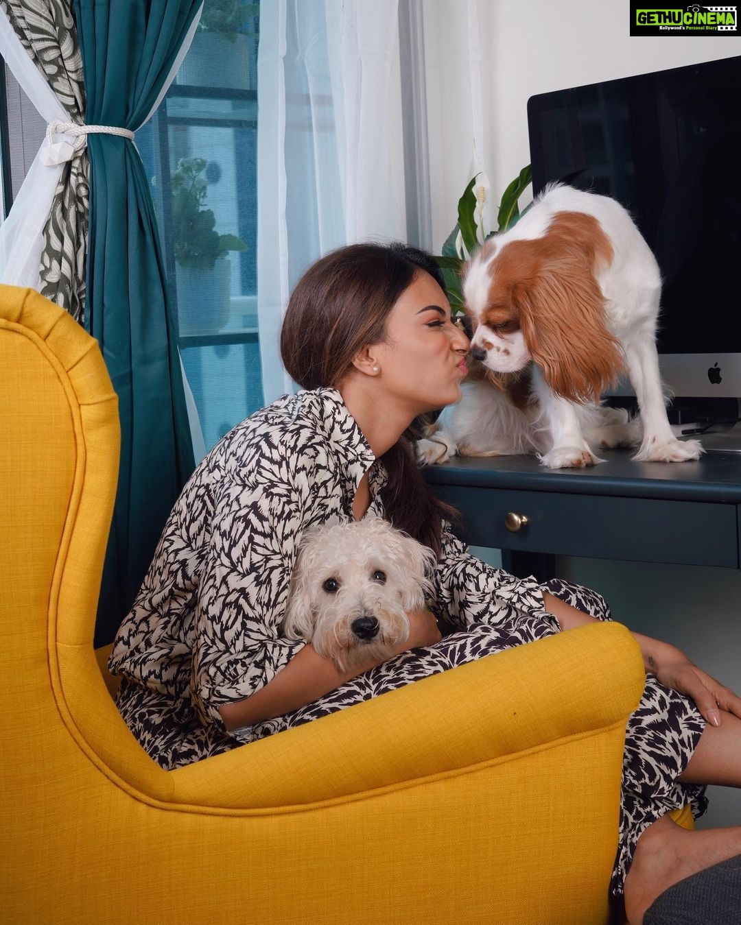 Erica Fernandes Instagram - Me and mine 🐾 Missing my big boy Champy.