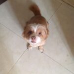 Esha Gupta Instagram – Nawab 
31-12-22🕊

मैं तैनू फ़िर मिलांगी 💔