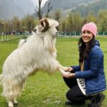 Esha Kansara Instagram - The real G O A T! 😝Swipe left for reality! 🤪 Also, he earnt at least Rs. 5000 in front of me for whatever 10 mins I was there 🙈 Samaj rahe ho? Ps - This cutie’s name was Salman! 😆🙈😅 Beetab Valley