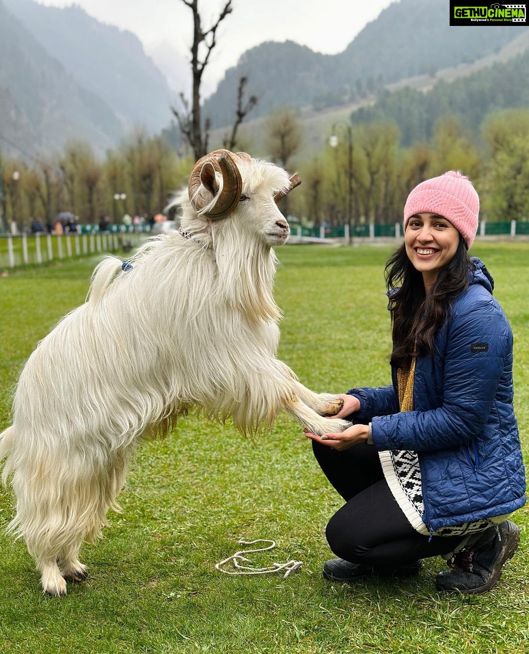 Esha Kansara Instagram - The real G O A T! ๐Swipe left for reality! ๐คช Also, he earnt at least Rs. 5000 in front of me for whatever 10 mins I was there ๐ Samaj rahe ho? Ps - This cutieโs name was Salman! ๐๐๐
Beetab Valley