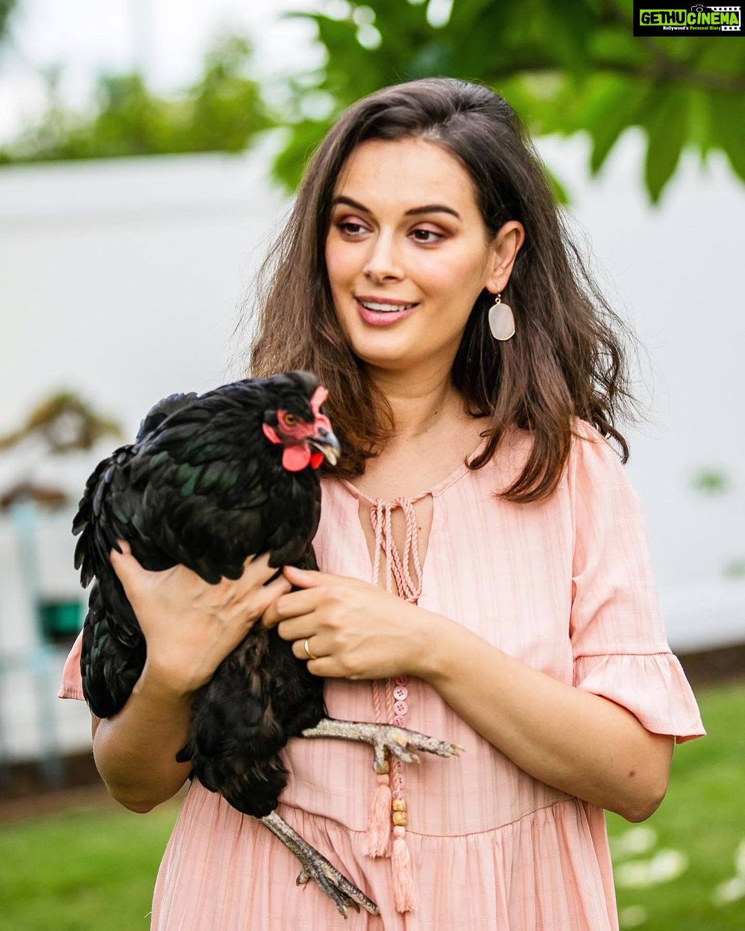 Evelyn Sharma Instagram - Missing the country life already! 🥰💚 #everydayisearthday