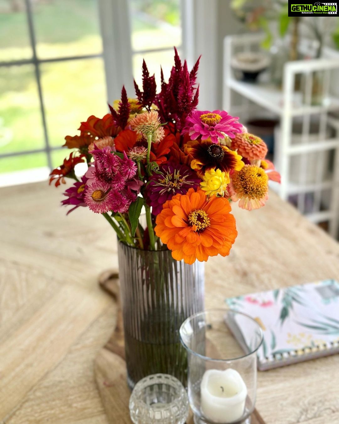 Evelyn Sharma Instagram - Nothing like brining the garden inside the house 🥰