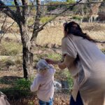 Evelyn Sharma Instagram – This is what most of the zoo visit looked like: trying to catch my wild toddler and wiping snotty winter noses… 😅 but the way her little face lights up when seeing a giraffe 🥰 it’s everything! 

#momlife #momlifebelike #lifewithatoddler #torongazoo #bestdayever