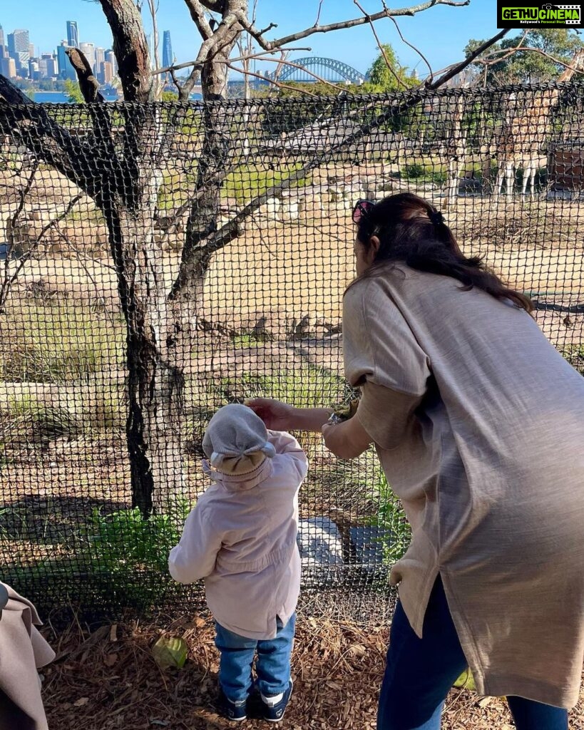 Evelyn Sharma Instagram - This is what most of the zoo visit looked like: trying to catch my wild toddler and wiping snotty winter noses… 😅 but the way her little face lights up when seeing a giraffe 🥰 it’s everything! #momlife #momlifebelike #lifewithatoddler #torongazoo #bestdayever