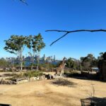Evelyn Sharma Instagram - This is what most of the zoo visit looked like: trying to catch my wild toddler and wiping snotty winter noses… 😅 but the way her little face lights up when seeing a giraffe 🥰 it’s everything! #momlife #momlifebelike #lifewithatoddler #torongazoo #bestdayever