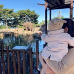 Evelyn Sharma Instagram - Törööö 🐘 Ava saw a real #elephant for the first time today! Her favourite animal!! 🥰 One day I’ll tell her the story of when we were filming in the jungle of Tamil Nadu and saw the real wild #elephants… ☺️ #momlife #dayatthezoo #pregnant #lifewithatoddler #bestlife