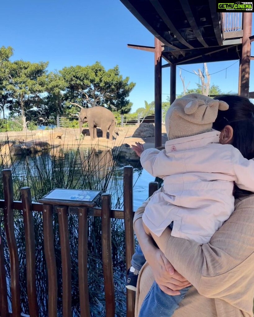Evelyn Sharma Instagram - Törööö 🐘 Ava saw a real #elephant for the first time today! Her favourite animal!! 🥰 One day I’ll tell her the story of when we were filming in the jungle of Tamil Nadu and saw the real wild #elephants… ☺️ #momlife #dayatthezoo #pregnant #lifewithatoddler #bestlife