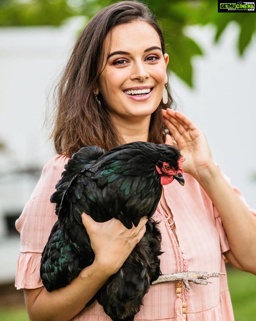 Evelyn Sharma Instagram - Missing the country life already! 🥰💚 #everydayisearthday