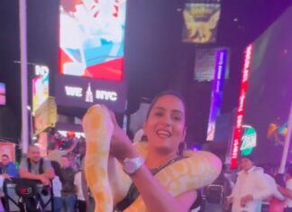 Himaja Instagram - Meet Mr.Dimond 🐍 #snake #timesquare #newyork Time-Square-NewYork