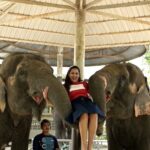 Himaja Instagram - #bangkokmemories #omg #elephant #animals #animallovers #thailand Pattaya,Bangkok