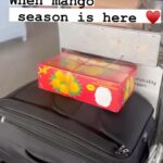 Isha Chawla Instagram – Maango season is here ♥️
.
.
.
#alphanso #mango #mangoseason