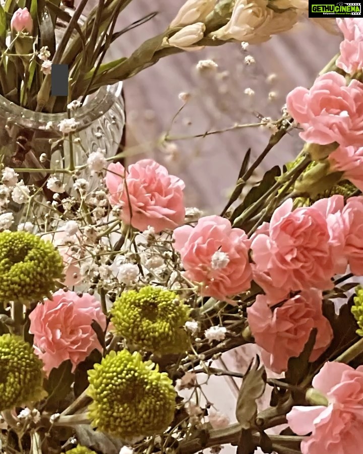 Isha Chawla Instagram - मैं रास्ता वो मंज़िल मैं सहरा वो साहिल माना के प्यार मजबूर था पर इसमें फूलों का क्या क़सूर था । #fullmoon #sideeffectsoffullmoon #shayari