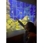 Isha Koppikar Instagram - For tomorrow - Making unforgettable memories with my little one in the mesmerizing depths of Dubai's aquarium! We also found nemo 🌊🐠 #MotherDaughterBonding #DubaiAdventures #AquariumExplorers #dubai #visitdubai #travel #motherdaughter