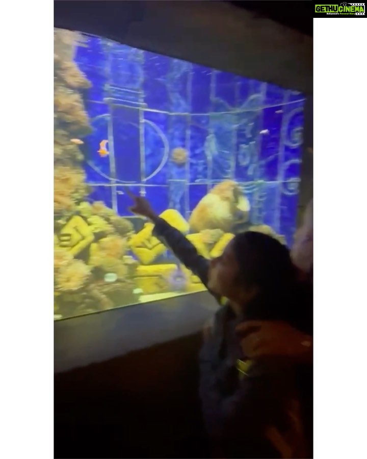 Isha Koppikar Instagram - For tomorrow - Making unforgettable memories with my little one in the mesmerizing depths of Dubai's aquarium! We also found nemo 🌊🐠 #MotherDaughterBonding #DubaiAdventures #AquariumExplorers #dubai #visitdubai #travel #motherdaughter