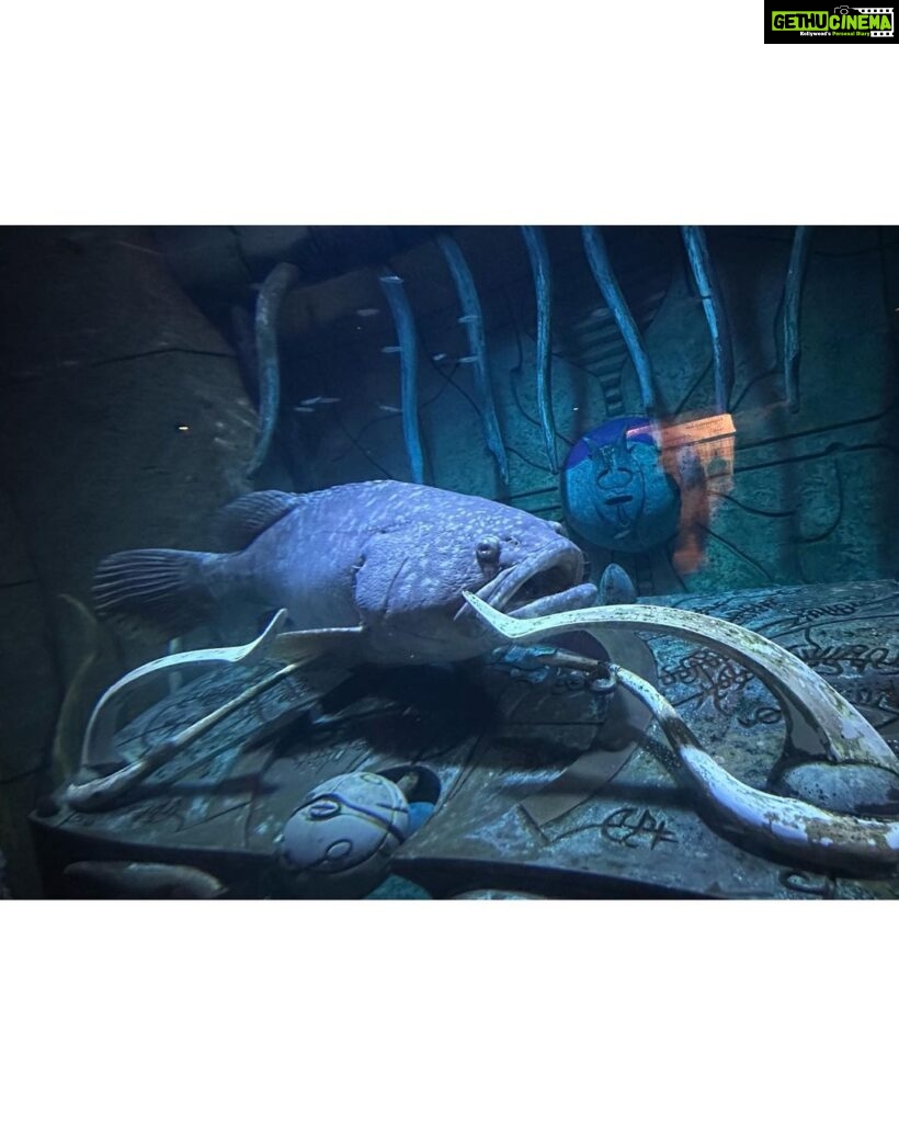 Isha Koppikar Instagram - For tomorrow - Making unforgettable memories with my little one in the mesmerizing depths of Dubai's aquarium! We also found nemo 🌊🐠 #MotherDaughterBonding #DubaiAdventures #AquariumExplorers #dubai #visitdubai #travel #motherdaughter