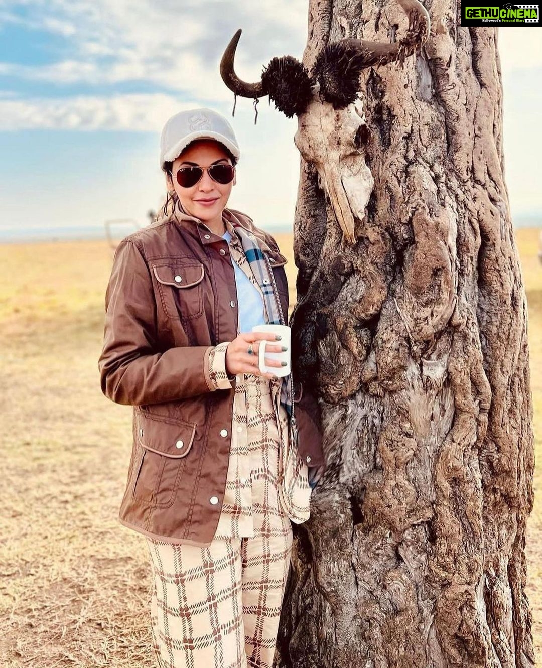 Isha Koppikar Instagram - If there were one more thing I could do, it would be to go on safari once again. Missing my morning coffees and safari in the wild. @thegamedrive @naurori_jeff #masaimara #tripofalifetime #memories #tbt #sundaymood #takemeback #safari #inthewild