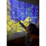 Isha Koppikar Instagram – For tomorrow – Making unforgettable memories with my little one in the mesmerizing depths of Dubai’s aquarium! We also found nemo 🌊🐠 

#MotherDaughterBonding #DubaiAdventures #AquariumExplorers #dubai #visitdubai #travel #motherdaughter