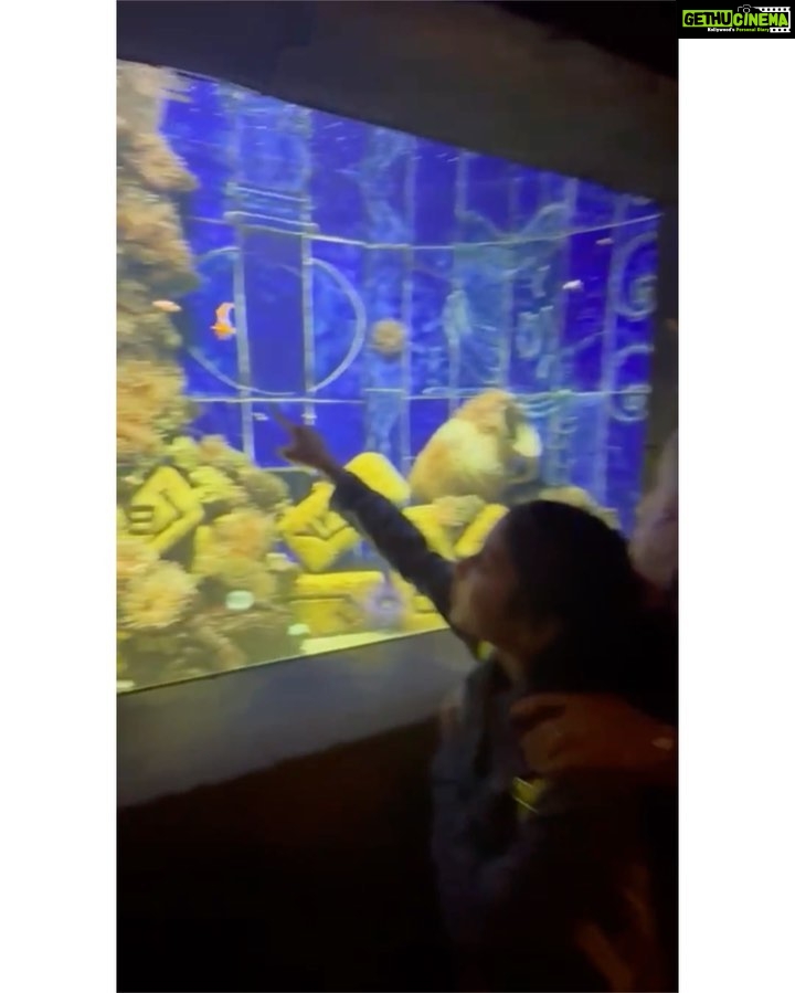 Isha Koppikar Instagram - For tomorrow - Making unforgettable memories with my little one in the mesmerizing depths of Dubai's aquarium! We also found nemo ππ #MotherDaughterBonding #DubaiAdventures #AquariumExplorers #dubai #visitdubai #travel #motherdaughter