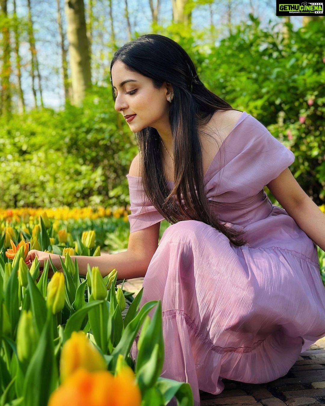 Ishaani Krishna Instagram - 💜 Keukenhof Gardens, Lisse - Netherlands