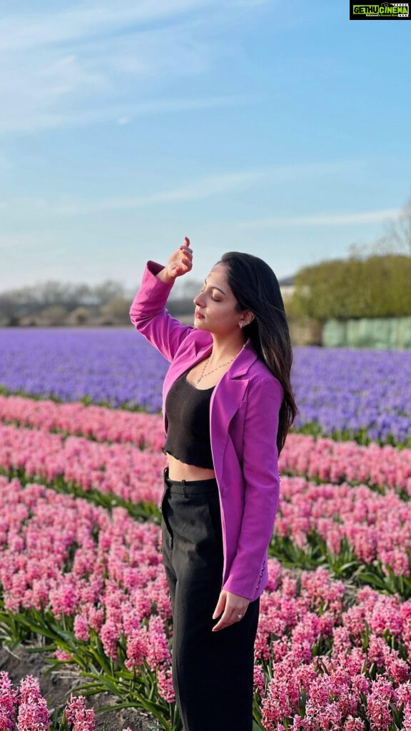 Ishaani Krishna Instagram - Europe and its flower affair 🌸🫶🏻 #athousandyears#europe#tulips#trend #instareels#reels#ishaanikrishna Netherland