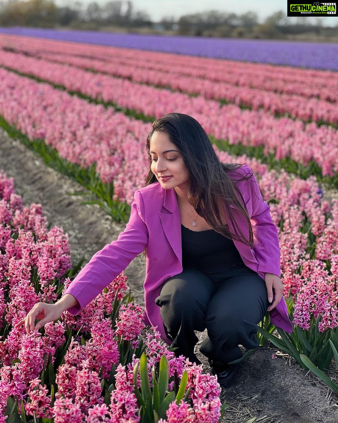 Ishaani Krishna Instagram - 💜🩷 Holland, Amsterdam