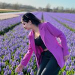 Ishaani Krishna Instagram - 💜🩷 Holland, Amsterdam