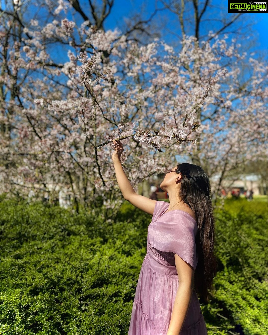 Ishaani Krishna Instagram - 💜 Keukenhof Gardens, Lisse - Netherlands