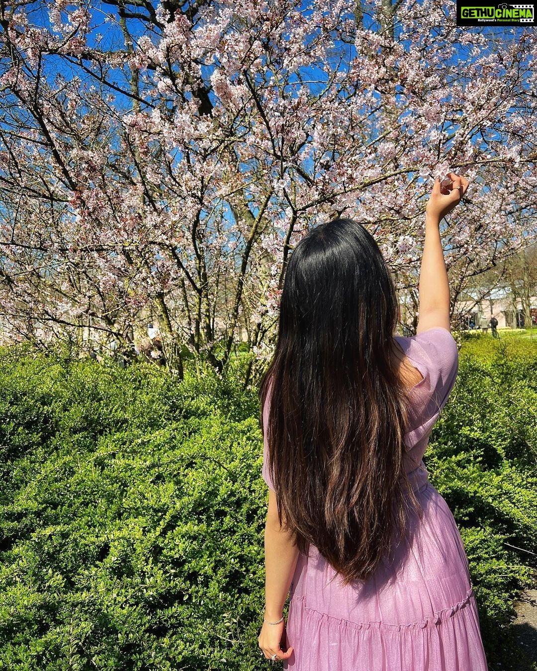 Ishaani Krishna Instagram - 💜 Keukenhof Gardens, Lisse - Netherlands