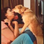 Kaniha Instagram - Love is a four legged word❤️ #Maggie #indielove #desidog #adoptdontshop