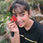 Komalee Prasad Instagram – Bloominggg 🌸🌼🍁🌺🏵️

PS last pic inspiration – meme god 🙏🏻