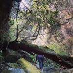 Madonna Sebastian Instagram - Feeding wonder #trails
