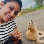 Mahima Nambiar Instagram – Smile please 😁
📸 Amma @vidyapalat 

#photodump #valatty #happydog #kattankappi #hills Illikkal Kallu