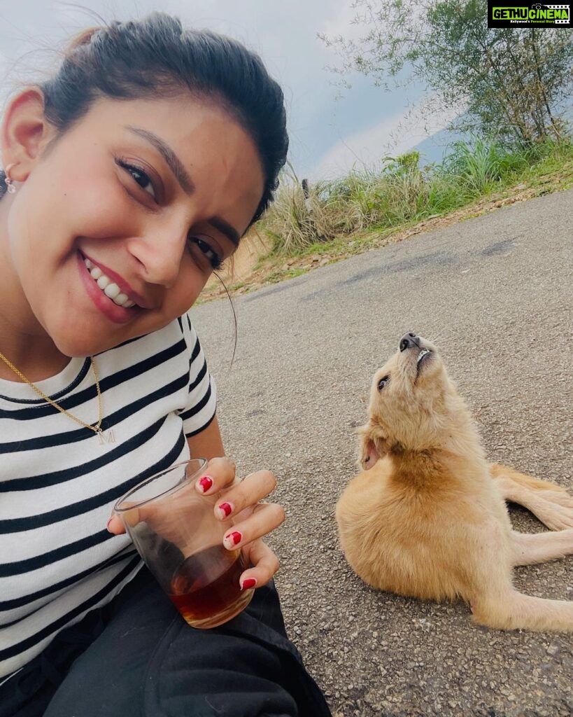 Mahima Nambiar Instagram - Smile please 😁 📸 Amma @vidyapalat #photodump #valatty #happydog #kattankappi #hills Illikkal Kallu
