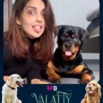 Mahima Nambiar Instagram - Be part of our VALATTY along with your VALATTY 🐶 Send us a video under 1 min with your lovely pets on the whatsapp No :9526955666 on or before April 10. Share your insta tags too!! @valattythemovieofficial @fridayfilmhouseofficial @actor_vijaybabu @they_when #valatty #fridayfilmhouse #valattythemovieofficial #vijaybabu #devan #pets #petscantalk #mollywood #miracleexperiment