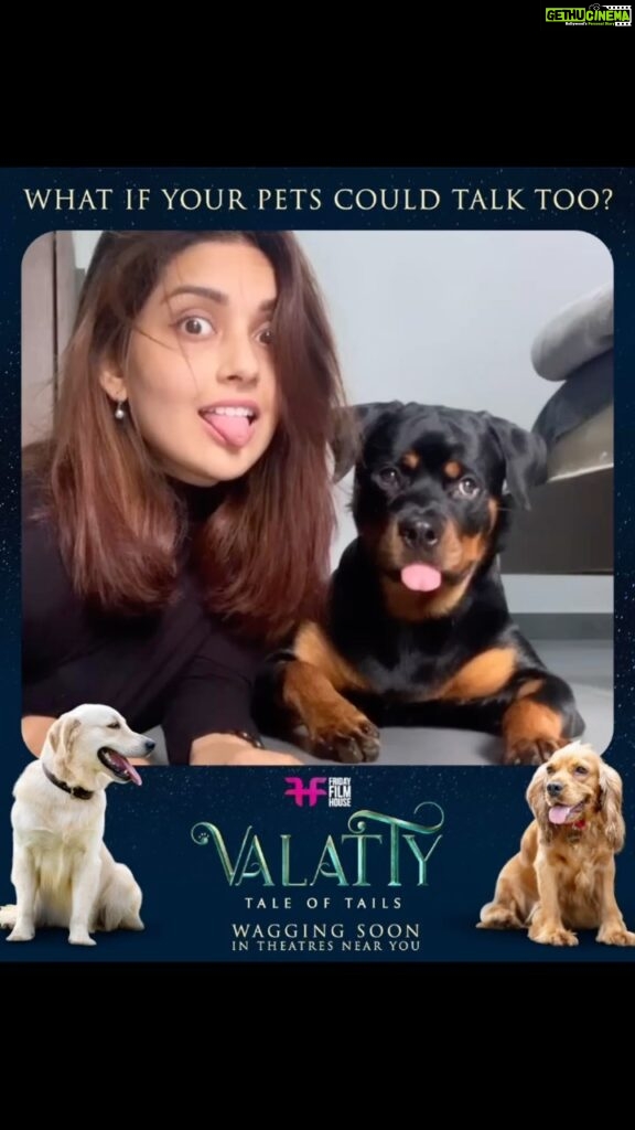 Mahima Nambiar Instagram - Be part of our VALATTY along with your VALATTY 🐶 Send us a video under 1 min with your lovely pets on the whatsapp No :9526955666 on or before April 10. Share your insta tags too!! @valattythemovieofficial @fridayfilmhouseofficial @actor_vijaybabu @they_when #valatty #fridayfilmhouse #valattythemovieofficial #vijaybabu #devan #pets #petscantalk #mollywood #miracleexperiment