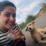 Mahima Nambiar Instagram - Smile please 😁 📸 Amma @vidyapalat #photodump #valatty #happydog #kattankappi #hills Illikkal Kallu