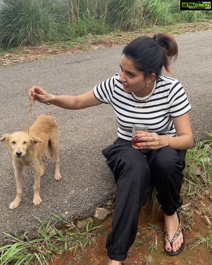 Mahima Nambiar Instagram - Smile please 😁 📸 Amma @vidyapalat #photodump #valatty #happydog #kattankappi #hills Illikkal Kallu