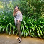 Malavika Menon Instagram - There is something infinitely healing in the repeated refrains of nature… the assurance that dawn comes after night, and spring after winter💚🌿🍃🌳🥝🥬-Rachel Carson Wearing @swayamvarasilksindia #malavikamenon #mm #nature #green #love #grateful #present