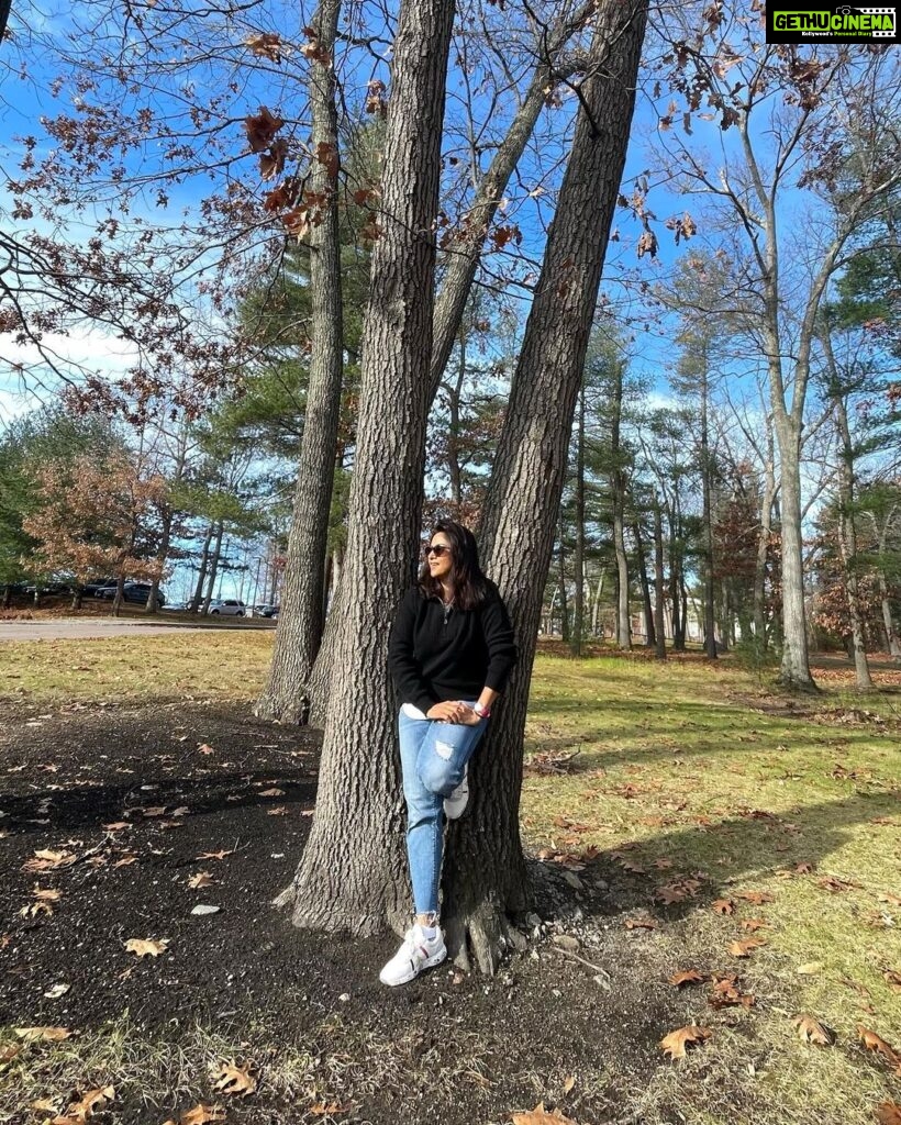 Nadhiya Instagram - “Autumn mornings; sunshine and crisp air, birds and calmness, year’s end and new beginnings”…..Terri Guillemets