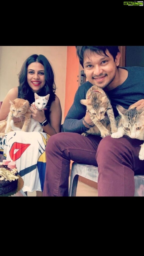 Nakul Instagram - Our Kit-Teas ! 🌸💜 We though we rescued you all but only after having you 4 in our lives, we have realised that you 4 rescued us ! 🌈 Luna Lovegood Lilly Potter Coco Pie Goku Chan Thankyou for making our lives a little more pawsome 😘😘 #internationalcatday #catstagram #catlife #khulbeetails