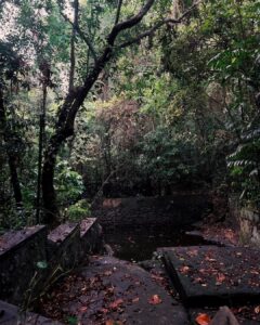 Nimisha Sajayan Instagram - 🍃❤️