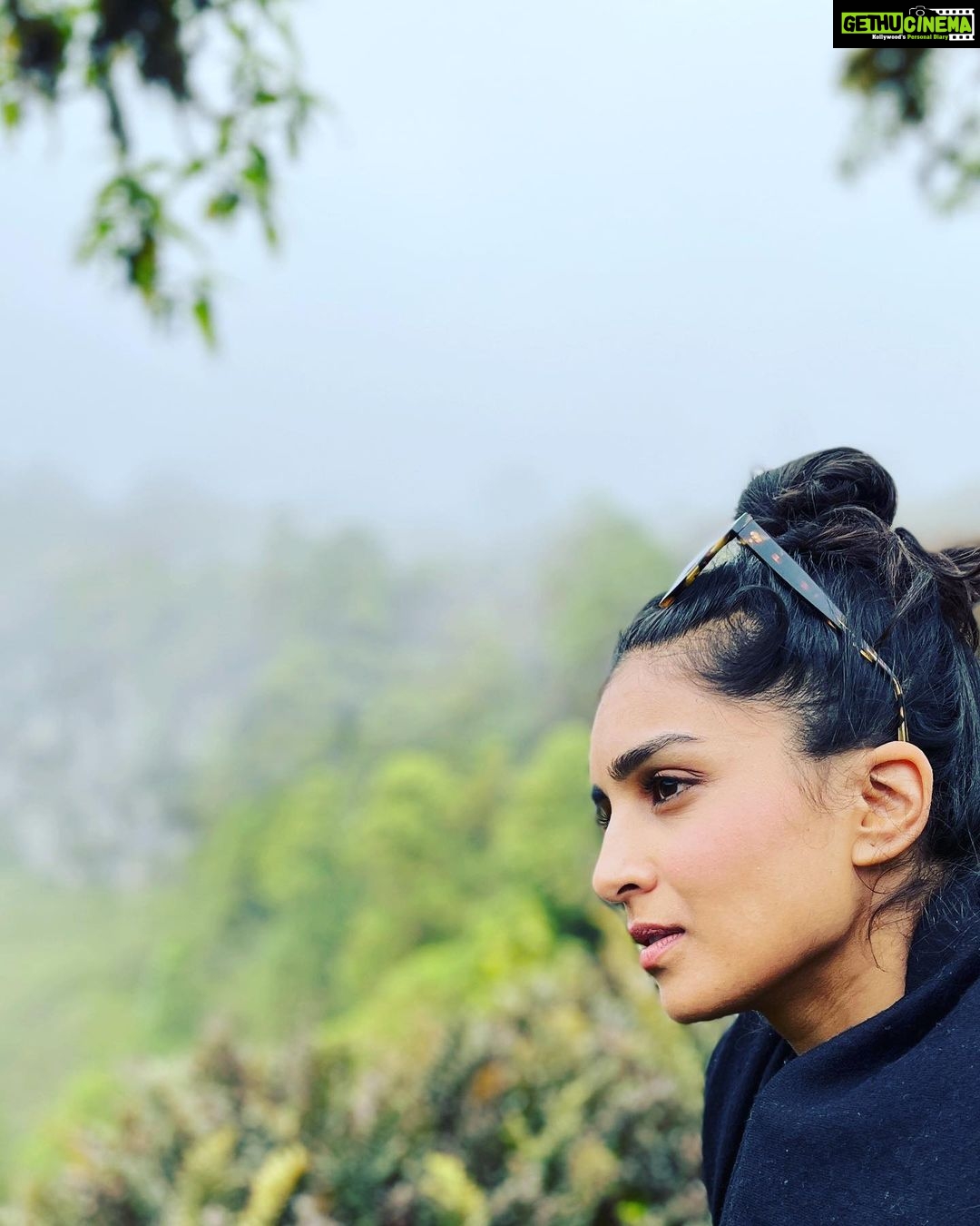 Pallavi Sharda Instagram - So much love felt in just 3 days in the Galápagos Islands…. I have learnt so much, shared so much, and can’t wait to share here all the ways in which incredible humans are making an impact in the field of conservation of this beautiful part of earth. More importantly… the ways in which we all have a role to play in keeping our home - our host - thriving as a single interconnected ecosystem. Thank you @lfcsummit @charlesdarwinfoundation for hosting me… and to all the amazing souls who have worked tirelessly to make this inaugural Leaders for Change Summit such a melting pot of connection and thus a huge success 🧡🌊 Much more sharing to come! #galapagos #impact #esg #conservation #climatechange