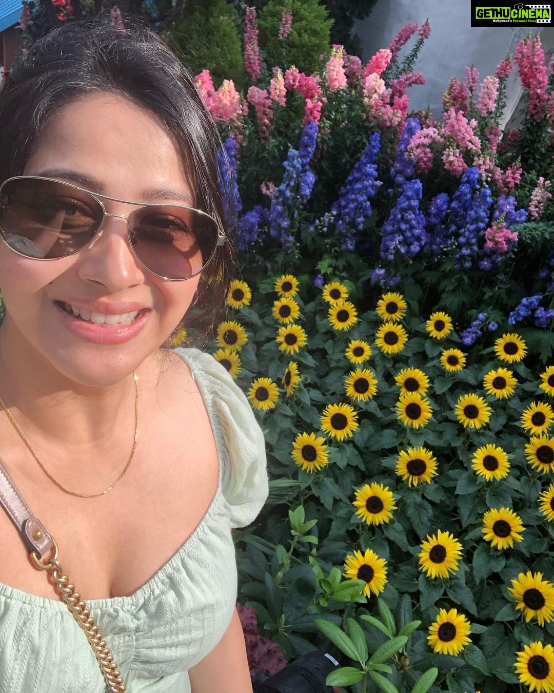 Panchi Bora Instagram - Every time I see you I fall in love all over again! #tourist Cloud Forest At Gardens By the Bay