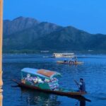 Parull Chaudhry Instagram – हाँ तुम बिलकुल वैसी हो जैसा मैंने सोचा था 

Yes can’t get over the beauty of the stunningly beautiful state of Kashmir 

A glimpse of the Shikara ride on Dal lake ❤️

#dallake #srinagar #reels #reelsinstagram #reelsvideo #parullchaudhry #actor #influencer #contentcreator #parullians #explore #bhagyalakshmi #jofithaiwohhithai #traveller #vlogger #chaudhryonthego #fashion #fitness #beauty #lifestyle #fashionblogger #beautyblogger #yogini #fitnessmotivation #travel #saasbahuaurbetiyaan #parullkipaltan Dal Lake