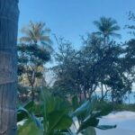 Pooja Bhalekar Instagram – Still believe in L O V E AT F I R S T S I G H T 🦭🤍
@centarareservesamui
#reservestories
.
.
.
.
.
.
.
.
.
#poojabhalekar
#beautifuldestinations
#vacation
#islandlife
.
.
.
.
.
.
.
.
.
.
.
.
.
.
.
.
.
.
.
.
.
.
.
.
.
.
#travel #explore #fyp #bikini #fit #lifestyle #swimwear #kohsamui #thailand