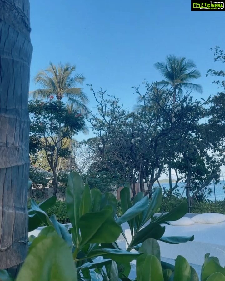 Pooja Bhalekar Instagram - Still believe in L O V E AT F I R S T S I G H T 🦭🤍 @centarareservesamui #reservestories . . . . . . . . . #poojabhalekar #beautifuldestinations #vacation #islandlife . . . . . . . . . . . . . . . . . . . . . . . . . . #travel #explore #fyp #bikini #fit #lifestyle #swimwear #kohsamui #thailand