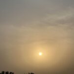 Prabh Grewal Instagram – Nature vibes 🦜🌞🍃